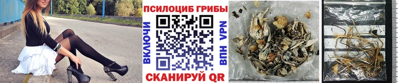 Купить  Далматово  Псилоцибиновые грибы прущие грибы 